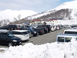 駐車場に日本各地から車が集結しています。